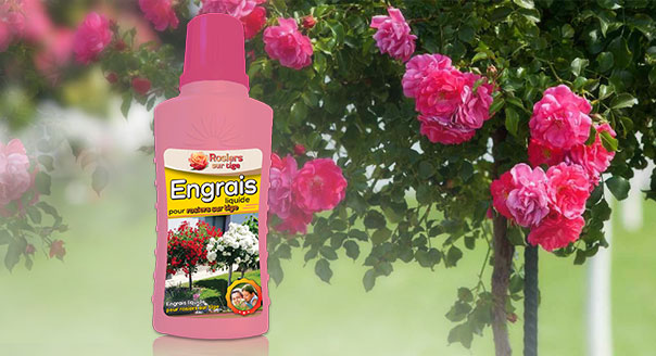 Engrais liquide pour rosiers